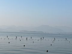 -杭州君悦酒店·湖滨28中餐厅