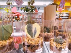 -KKV(深圳宏发大仟里店)