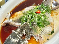-松雅轩商务婚礼生日(同和店)