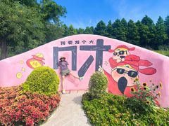 -荷兰花海