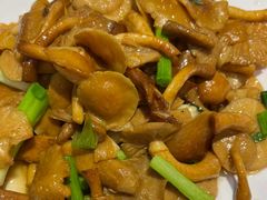 -九寨沟特色牦牛肉汤锅