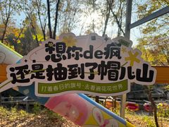 -帽儿山风景区