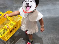 -KKV(深圳宏发大仟里店)