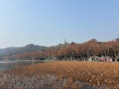 -新白鹿餐厅(龙游路总店·杭帮菜名店)