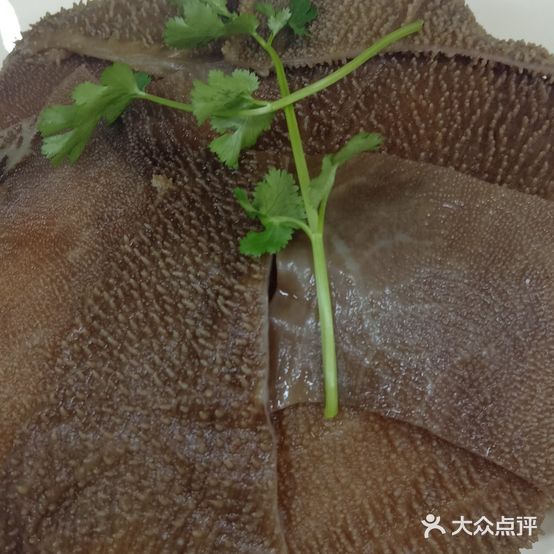 九码头火锅锅
