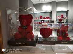 -ROSEONLY诺誓(广州K11店)