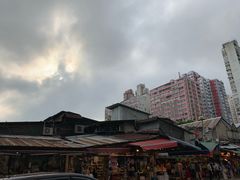 -油麻地果栏