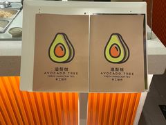 -油梨树 AVOCADO TREE(亮马桥店)