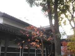 android_upload_pic-檀园