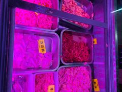 -周良天山牛杂城(天山路总店)