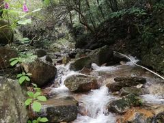 -水墨汀溪风景区