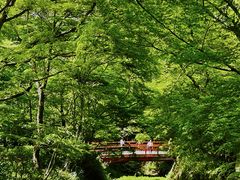 -三千院