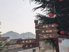 -后柳水乡
