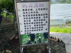 -向葡萄庄园