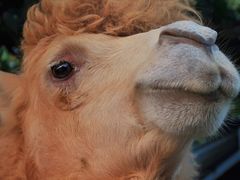 -泉州海丝野生动物世界