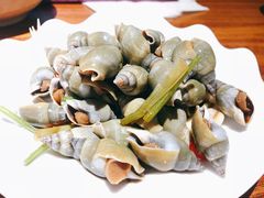 翡翠螺-全渔村小海鲜