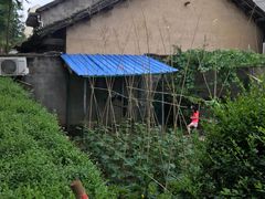 -柞水乾佑红门家菜