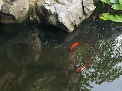 -呼吸森林·生态农庄农家乐私房菜