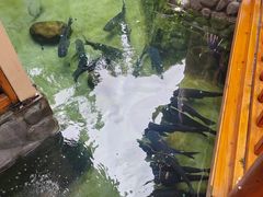 -耕渔小院·湖南鱼鲜(望城店)