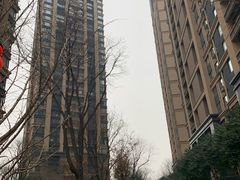 -万科·金域曲江