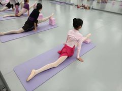 -中央芭蕾舞团·中芭艺蕾(酒仙桥明星校区)