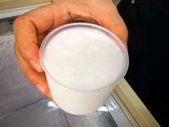 -洪馨椰子