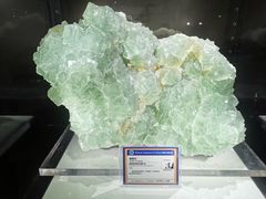 -中国地质大学逸夫博物馆
