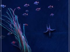 -沈阳海洋探索中心