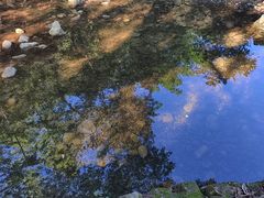-武夷山风景名胜区-玉女峰