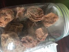 -粒上皇(天河南一路店)