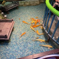 -酷嗒动物文化乐园(cutezoo西溪乐天城店)