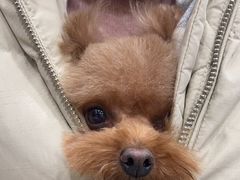 -宠颐生·恒爱宠物医院(静海店)