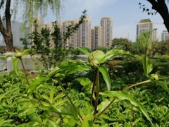 -木塔寺遗址生态公园