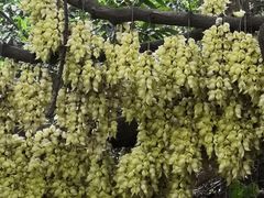 -天鹿湖森林公园