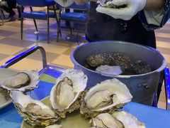 -千岛蚝高压锅生蚝·人参火锅(白云万达店)