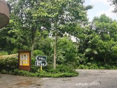 -新加坡飞禽公园
