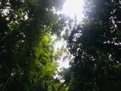 -苏州环秀晓筑养生度假村