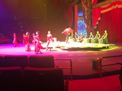 -珠海横琴长隆《卡卡虎奇遇记》