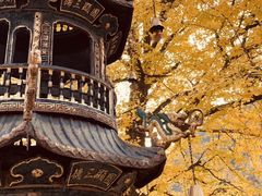 -遵化市禅林寺古银杏风景园