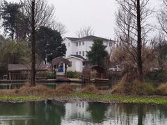 -桤木河湿地公园