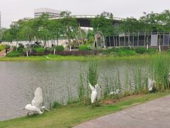 -琅岐红光湖公园