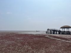 -红海滩国家风景廊道