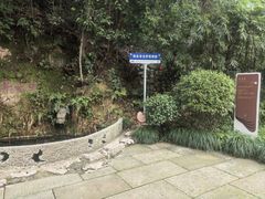 -十八棵（老龙井）御茶园(老龙井店)