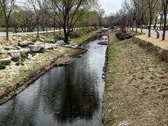 -东郊湿地公园