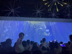 -华夏文旅海洋公园