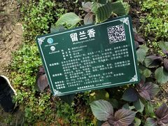 -广西壮族自治区药用植物园