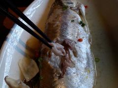 太湖白鱼-蜜桃餐厅·古运河畔(南下塘店)