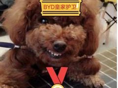 -中国移动(南桥营业厅)