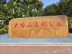 -东莞市大岭山森林公园