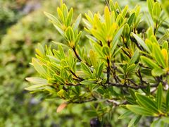 -上海吴淞炮台湾国家湿地公园